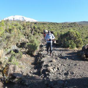 Kilimanjaro ecotourism routes recommended for climbing trips Kilimanjaro ecotourism routes recommended for climbing trips
